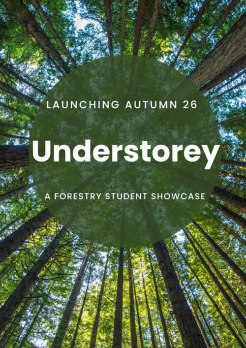 Understorey Holding Image