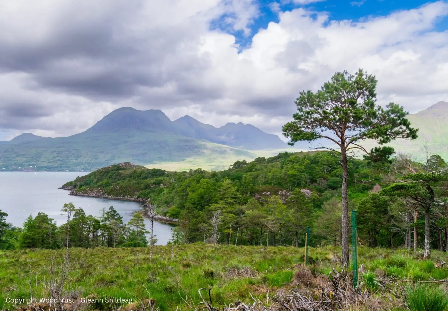 Copyright WoodTrust – Gleann Shìldeag Copyright WoodTrust - Gleann Shìldeag
