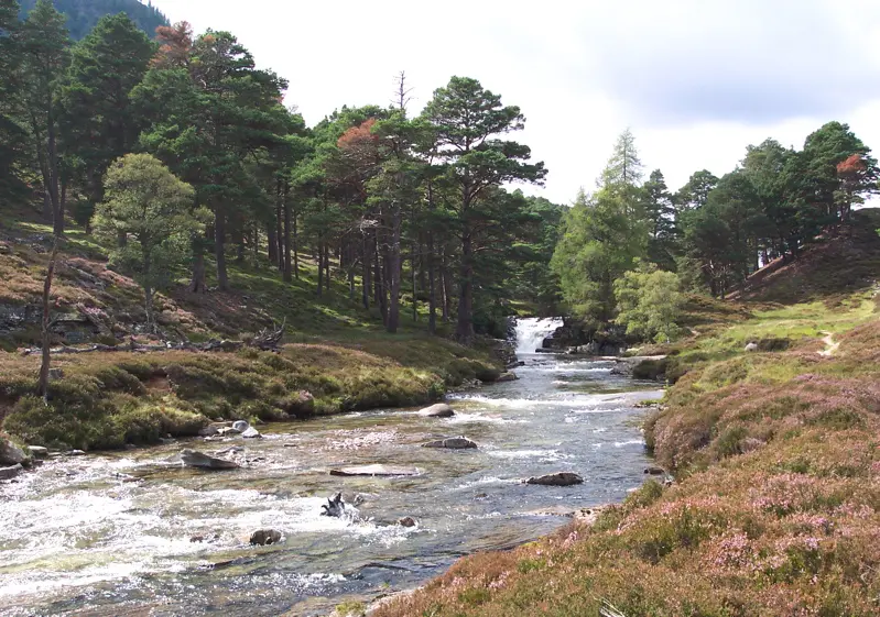 River_Quoich