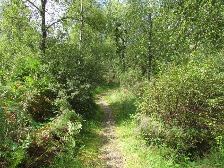TITLE PICTURE VC